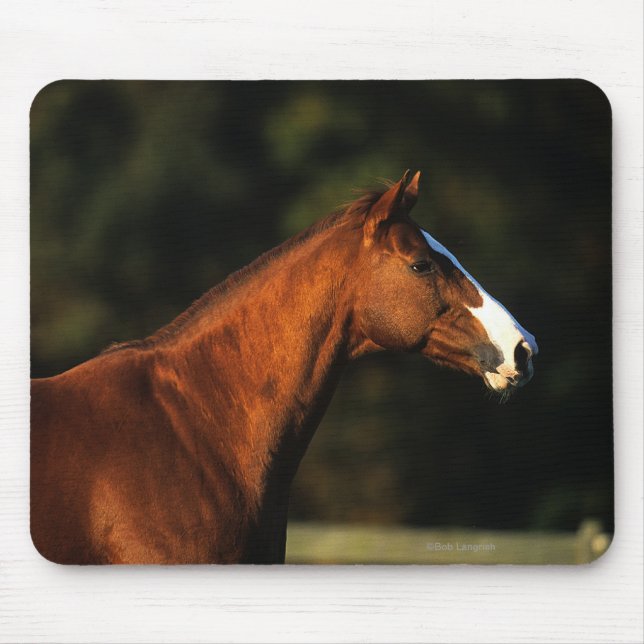 Tapis De Souris Headshot de cheval de pur sang (Devant)