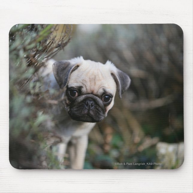 Tapis De Souris Headshot de chiot de carlin de faon (Devant)