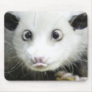 Tapis De Souris Heidi L'Opossum Osé À Croix