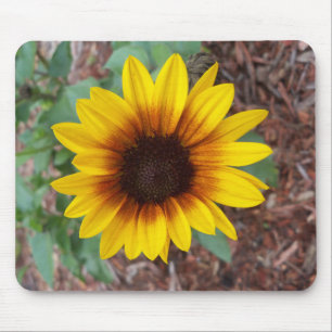 Tapis De Souris Helianthus Annuus