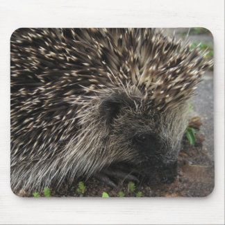 Tapis De Souris Hérisson Mousepad