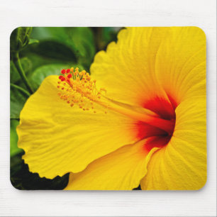 Tapis De Souris Hibiscus jaune vif