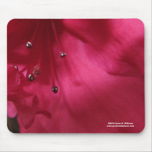 Tapis De Souris Hibiscus Mousepad