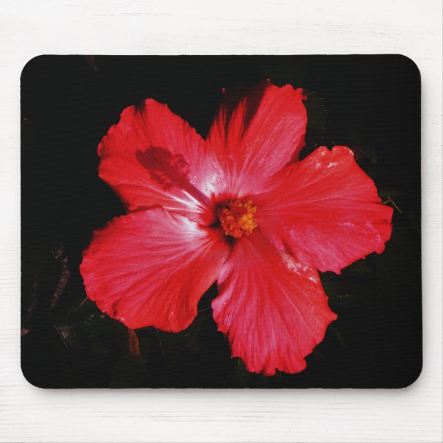 Tapis De Souris Hibiscus rouge (Devant)