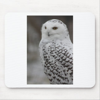 Tapis De Souris Hibou