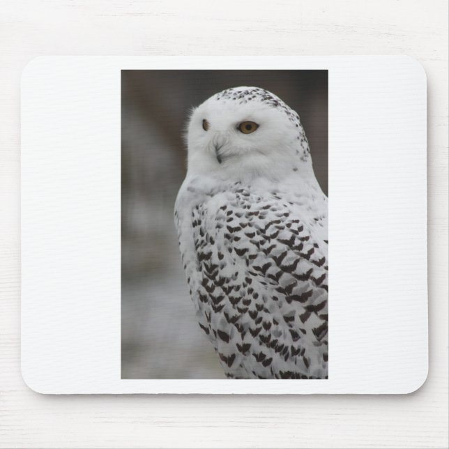 Tapis De Souris Hibou (Devant)
