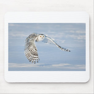 Tapis De Souris Hibou Animal Oiseau Hiver Neige Gelée Glace Froid