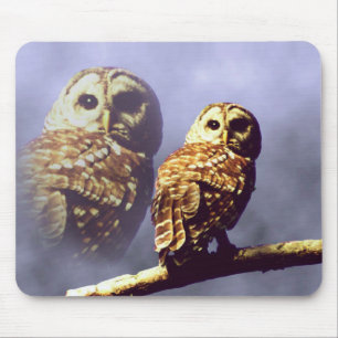 Tapis De Souris Hibou barré Mousepad