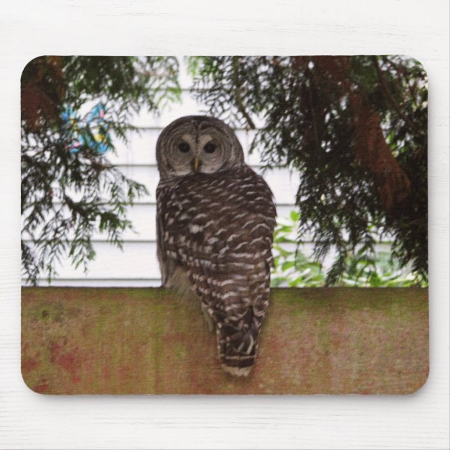 Tapis De Souris Hibou de baie de bouleau (Devant)