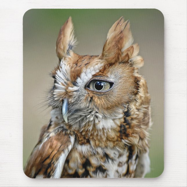 Tapis De Souris Hibou de cri strident rouge (Devant)