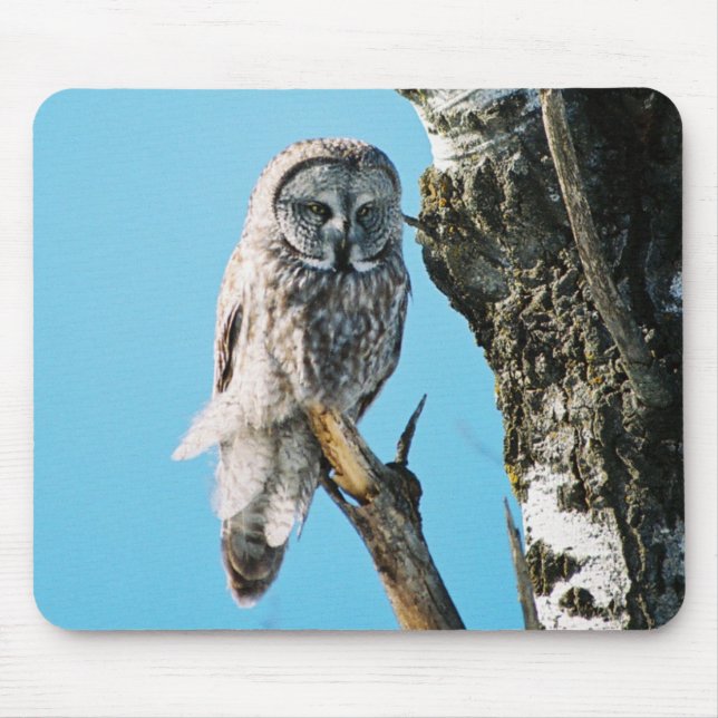 Tapis De Souris Hibou de grand gris Mousepad (Devant)