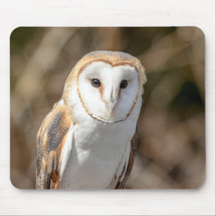Tapis De Souris Hibou de grange
