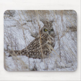 Tapis De Souris Hibou des marais B11