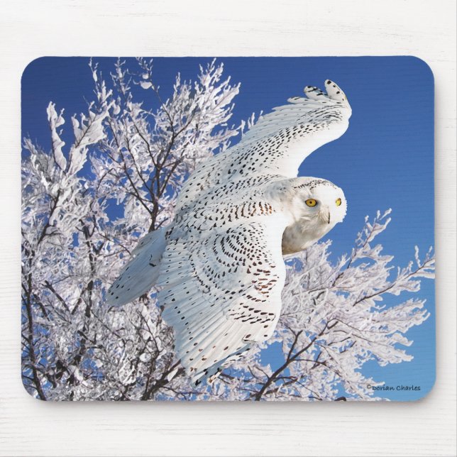 Tapis De Souris Hibou" Mousepad "de Milou (Devant)