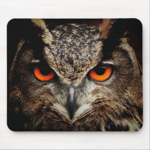 Tapis De Souris hibou, oiseau, animal