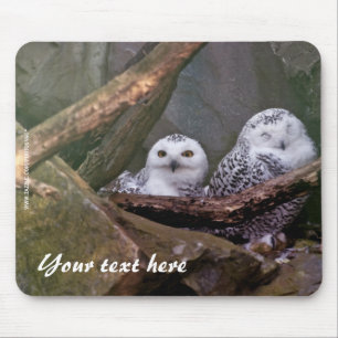 Tapis de souris Hiboux des neiges