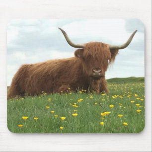 Tapis De Souris Highland Cow
