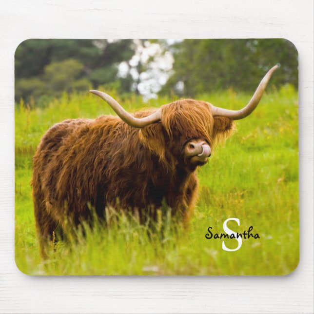 Tapis De Souris Highland Cow (Devant)