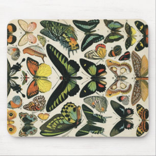 Tapis De Souris History naturel Butterfly