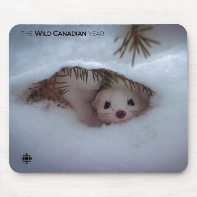 Tapis De Souris Hiver - Weasel à queue courte (Devant)