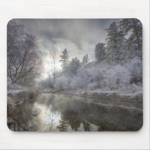Tapis De Souris Hoarfrost le long d'une ruche à l'île Kelly