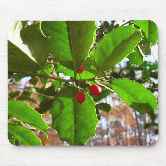 Tapis De Souris Holly Feuilles II Vacances Nature Botanique (Devant)