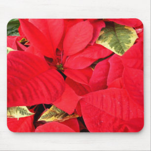 Tapis De Souris Holly Point Poinsettias Noël Fête Florale