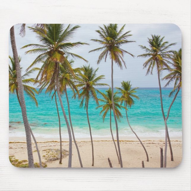 Tapis De Souris Horse Plage tropicale avec Palmiers (Devant)