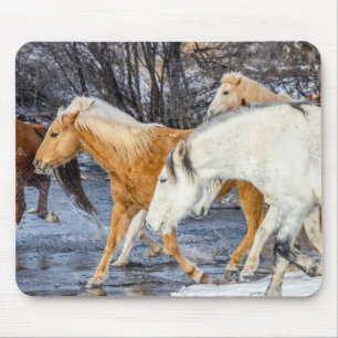 Tapis De Souris Horses Crossing the Stream