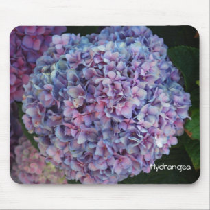 Tapis De Souris Hortensia