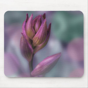 Tapis De Souris Hosta Flower Buple Violet Et Vert