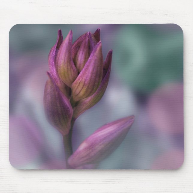 Tapis De Souris Hosta Flower Buple Violet Et Vert (Devant)