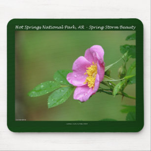 Tapis De Souris Hot Springs National Park, AR  Cadeaux Wild Rose