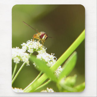 Tapis De Souris Hoverfly en céleri