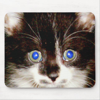 TAPIS DE SOURIS HPIM0940