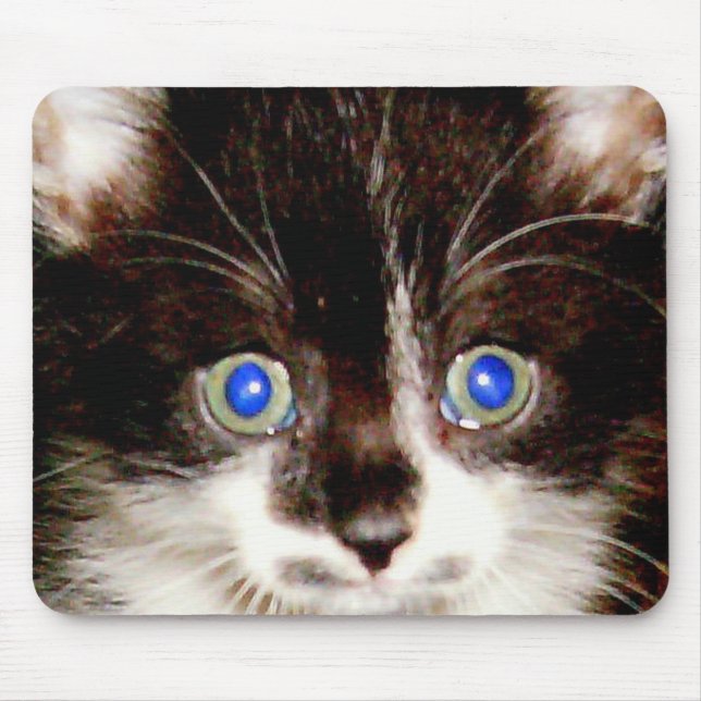 TAPIS DE SOURIS HPIM0940 (Devant)