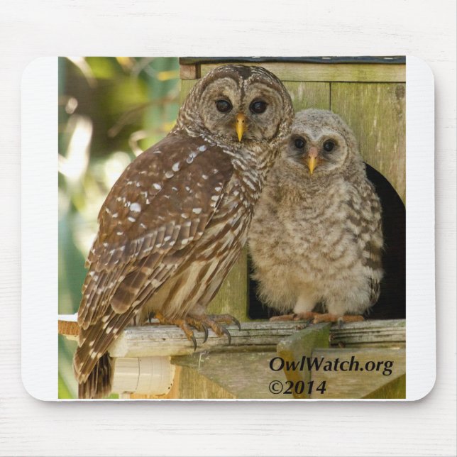 Tapis De Souris Huez et la maman - 2014 - Mousepad (Devant)