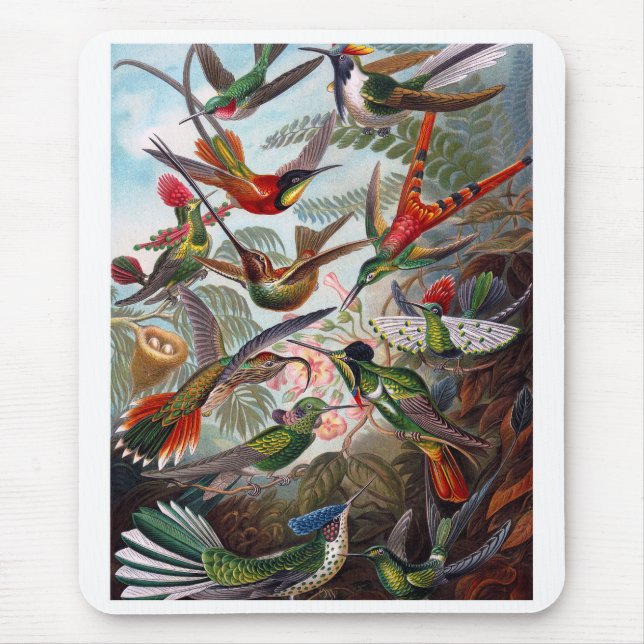 Tapis De Souris Hummingbird (Devant)