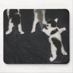 Tapis De Souris Husky Puppy