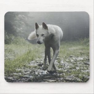 Tapis De Souris Husky Sibérien Blanc