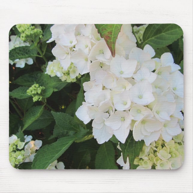 Tapis De Souris Hydrangeas Blancs (Devant)