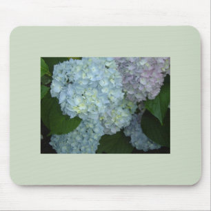 Tapis de souris Hydrangeas en fleurs