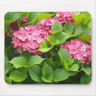 Tapis De Souris Hydrangeas Rose Foncé