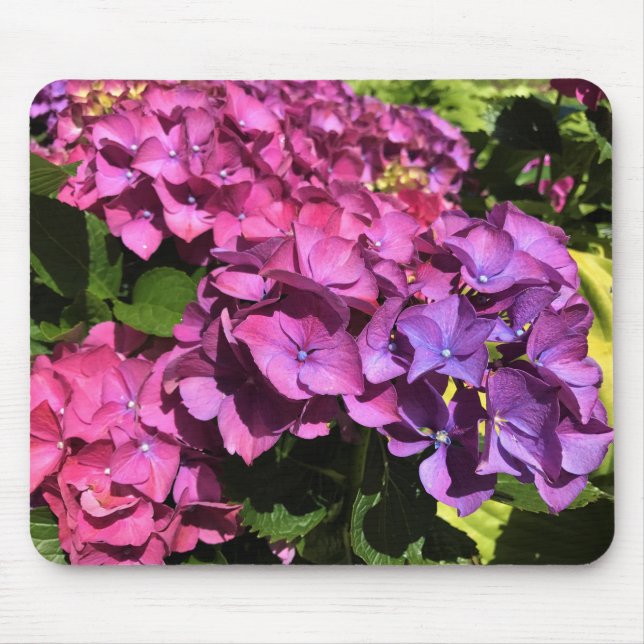 Tapis De Souris Hydrangée (Devant)