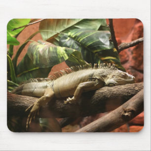 TAPIS DE SOURIS I2