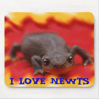 Tapis De Souris I Love Newts