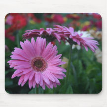 Idée colorée de cadeau de mousepad de marguerites