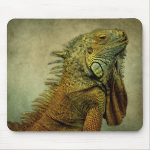 Tapis De Souris Iguana verte