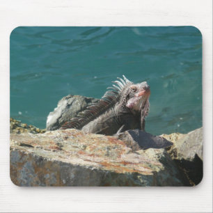 Tapis De Souris Iguane à St-Thomas