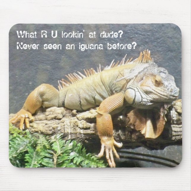 Tapis De Souris Iguane frais (Devant)